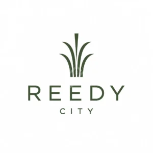 Reedy City New Cairo